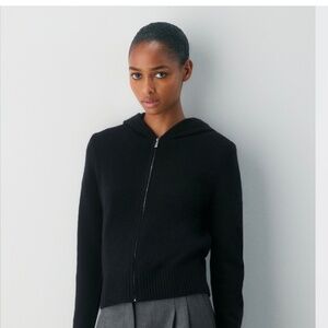 Aritzia cashmere hoodie